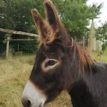 La Motelle N 5 3* Les Ulmes