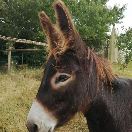 La Motelle N 5 3* Les Ulmes