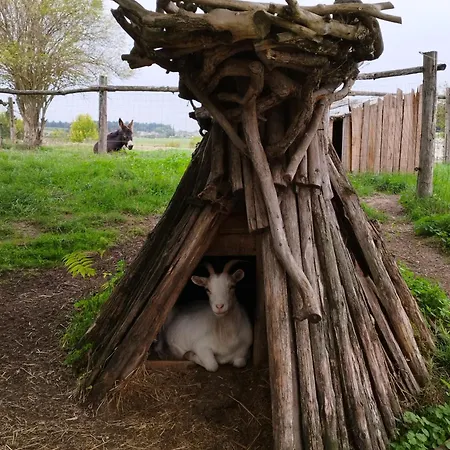 La Motelle N 5 3* Les Ulmes