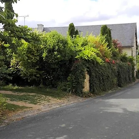 La Motelle N 5 3* Les Ulmes
