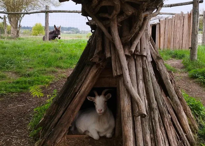 La Motelle N 5 3* Les Ulmes